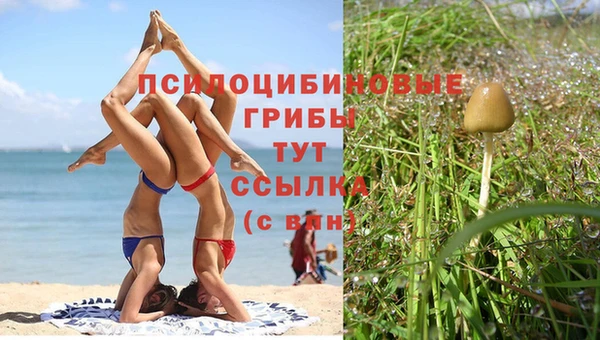 мяу мяу мука Алексин